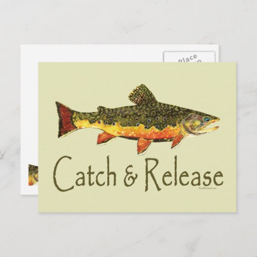 Geviste vangst- en vrijgaveforel briefkaart (Voorkant / Achterkant)