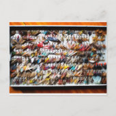 Geviste vliegen briefkaart (Voorkant)