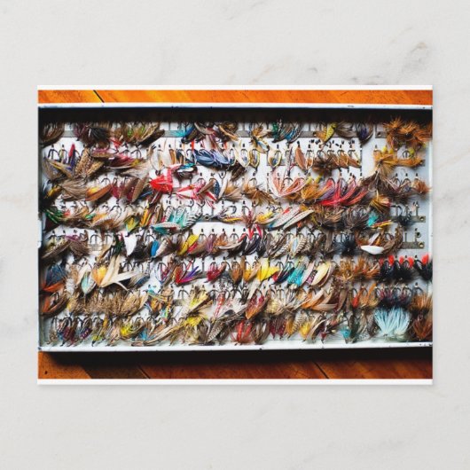 Geviste vliegen briefkaart (Voorkant)