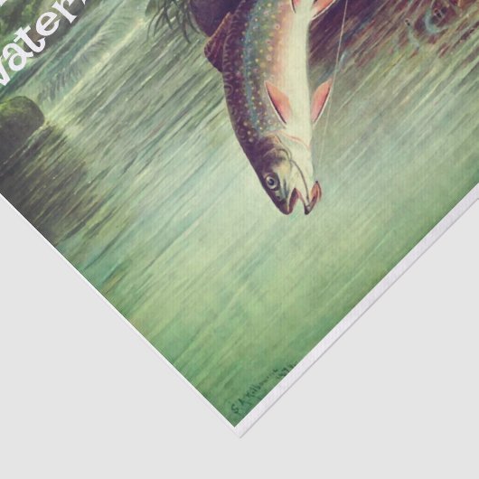 Geviste weefselpapier tissuepapier (Detail)