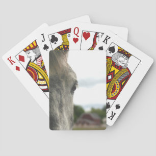 Gevlekt grijs trekpaard oog pokerkaarten