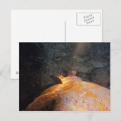 Gevlekt in de Spotlight Briefkaart (Voorkant / Achterkant)