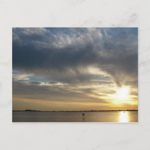 Gevlekt in de zon briefkaart