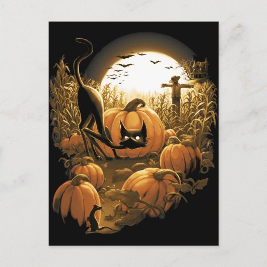 Gevlekt in een splek-pleister briefkaart (Voorkant)