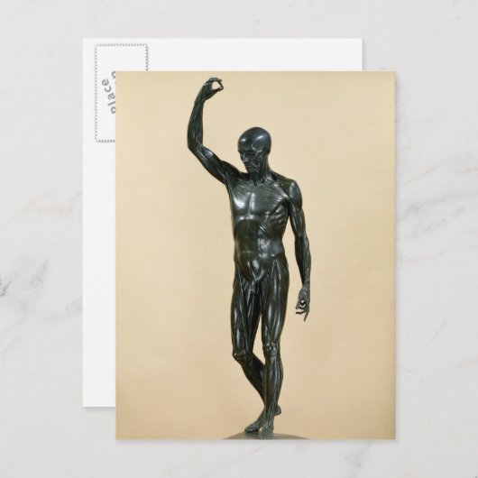 gevlekt lichaam briefkaart (Voorkant / Achterkant)