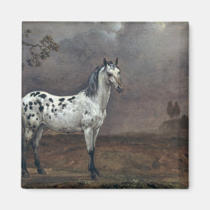 Gevlekt Paard, 1653 Magneet