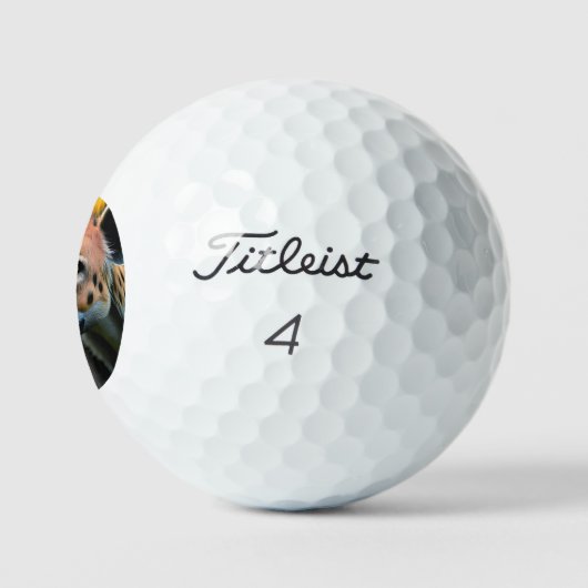 Gevlekt stalking hyena kijken naar zijn prooi, golfballen (Logo)