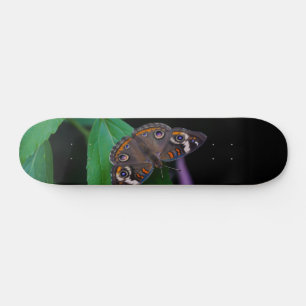 Gevlekt vlinder skateboard