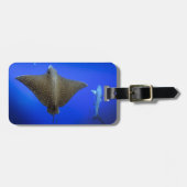 Gevlekte adelaarsrog en Galapagos rifhaai Bagagelabel (Voorkant horizontaal)