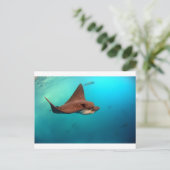 Gevlekte adelaarsroggen van de Galapagoseilanden Briefkaart (Staand voorkant)