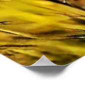 Gevlekte Afrikaanse Savannah Serval Cat Poster (Hoek)