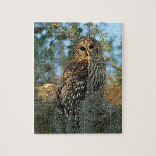 Gevlekte bosuil die rust in Spaans mos Legpuzzel (Verticaal)