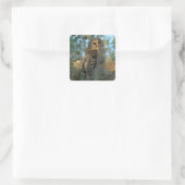 Gevlekte bosuil die rust in Spaans mos Vierkante Sticker (Tas)