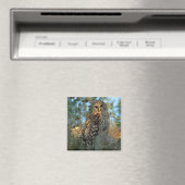 Gevlekte bosuil die rust in wat Spaans mos Magneet (Insitu (Vaatwasser))