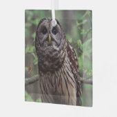 Gevlekte bosuil glas ornament (Voorkant links)