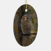 Gevlekte bosuil keramisch ornament (Rechts)