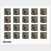 Gevlekte bosuil vierkante sticker (Vel)