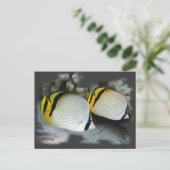 Gevlekte Butterflyfish Life Partners Briefkaart (Staand voorkant)