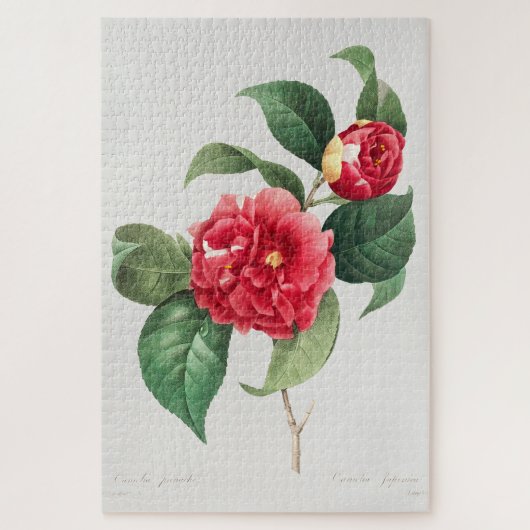 Gevlekte Camellia, Pierre-Joseph Redouté, 1833 Legpuzzel (Verticaal)