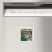 Gevlekte Cheetah vierkante magneet (Insitu (Vaatwasser))