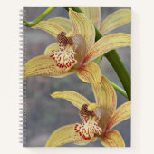 Gevlekte Cymbidium Orchideeën Bloem Notebook Notitieboek (Voorkant)