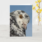  gevlekte duif close-up, leeg binnen kaart (Gele Bloem)