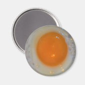 Gevlekte eieren magneet (Voorkant / Achterkant)