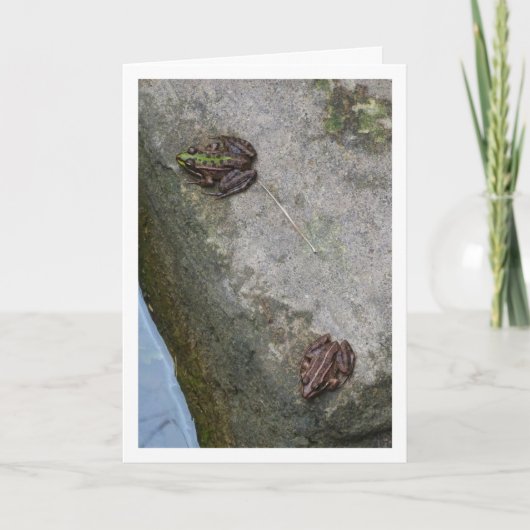Gevlekte en gestreepte kikkers Kaart (Voorkant)