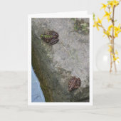 Gevlekte en gestreepte kikkers Kaart (Gele Bloem)