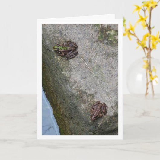 Gevlekte en gestreepte kikkers Kaart (Gele Bloem)