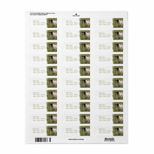 Gevlekte Engelse Setter Dog Mailing Labels (Full Sheet)