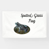 Gevlekte gras kikker, Banner (Horizontaal)
