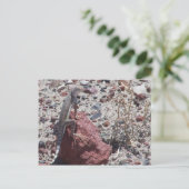 gevlekte hagedis briefkaart (Staand voorkant)