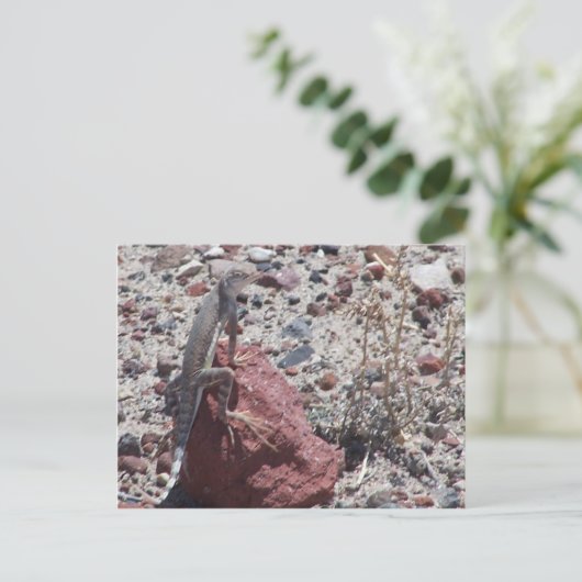 gevlekte hagedis briefkaart (Staand voorkant)