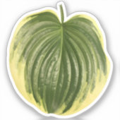 Gevlekte Hosta-blad  Sticker (Voorkant)