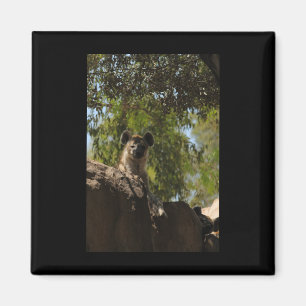 Gevlekte Hyena Natuur Lovers Valencia Vertical Sti Magneet