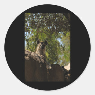 Gevlekte Hyena Natuur Lovers Valencia Vertical Sti Ronde Sticker