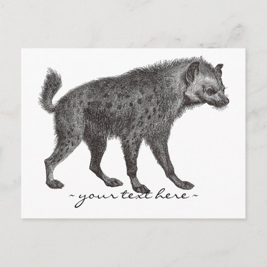 Gevlekte Hyena Post Kaart (Voorkant)