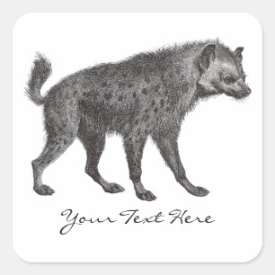 Gevlekte hyena-Stickers Vierkante Sticker