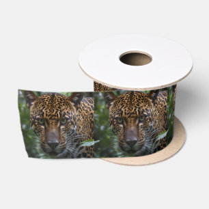gevlekte jaguar gezicht omhoog dicht in het bos, satijnen lint