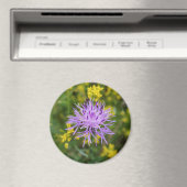 Gevlekte Knapweed Paarse Wildflower Ronde Magneet (Insitu (Vaatwasser))