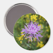 Gevlekte Knapweed Paarse Wildflower Ronde Magneet (Voorkant / Achterkant)
