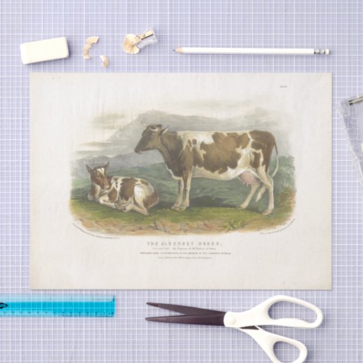 Gevlekte Koe Kalf Ephemera Decoupage  Boerderij Tissuepapier (Craft)