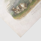 Gevlekte Koe Kalf Ephemera Decoupage  Boerderij Tissuepapier (Detail)