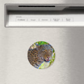Gevlekte Luipaard Magneet (Insitu (Vaatwasser))