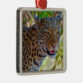 Gevlekte Luipaard Metalen Ornament (Rechts)