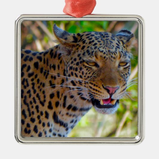 Gevlekte Luipaard Metalen Ornament (Voorkant)