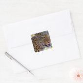 Gevlekte Luipaard Vierkante Sticker (Envelop)