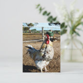 **"Gevlekte majesteit: de gespikkelde Boerderijen  Briefkaart (Staand voorkant)