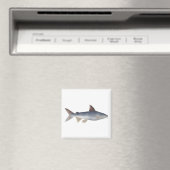 Gevlekte Meerval Magneet (Insitu (Vaatwasser))